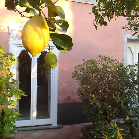 Casa Albini Torchiara